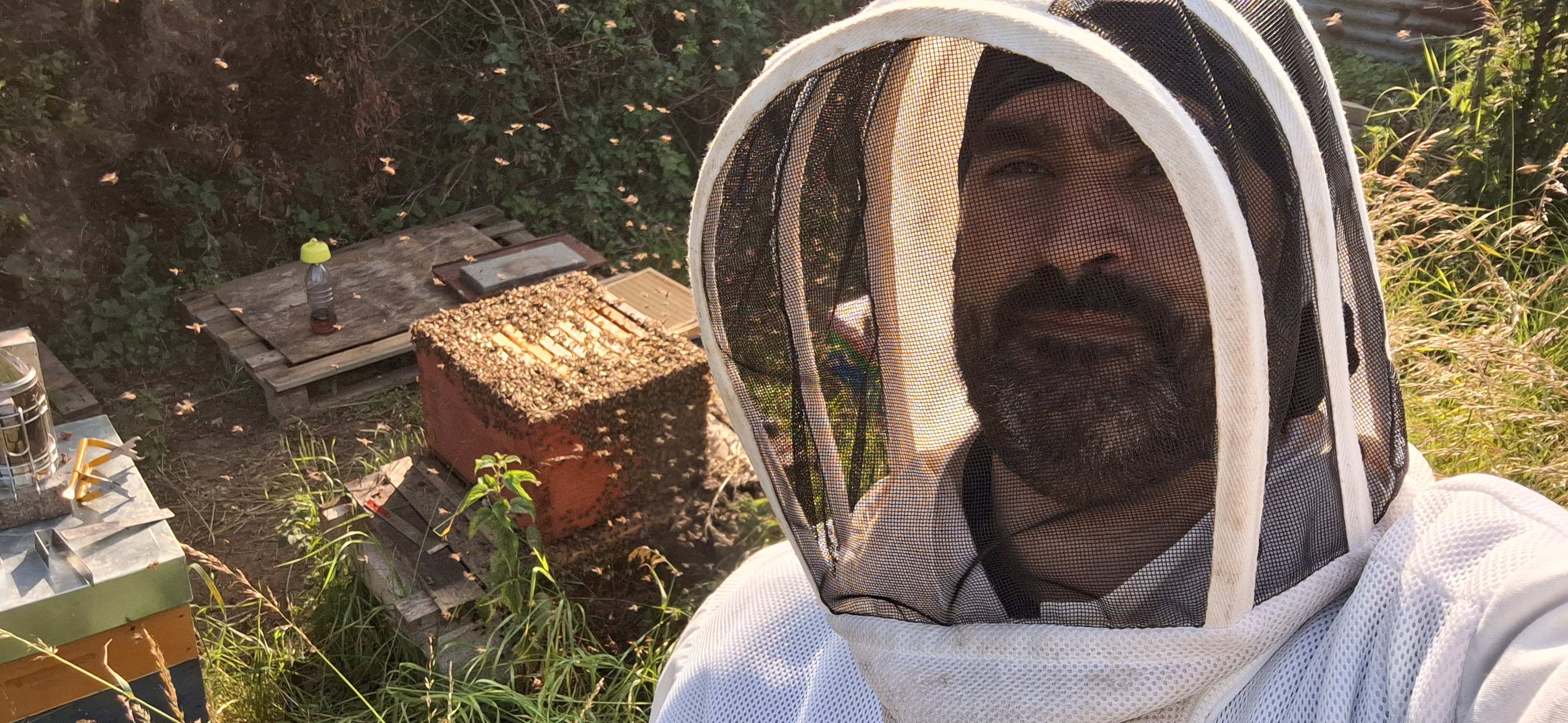 Apiculteur au milieu de ses ruches artisanales à Villerupt